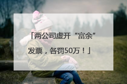 两公司虚开“富余”发票，各罚50万！